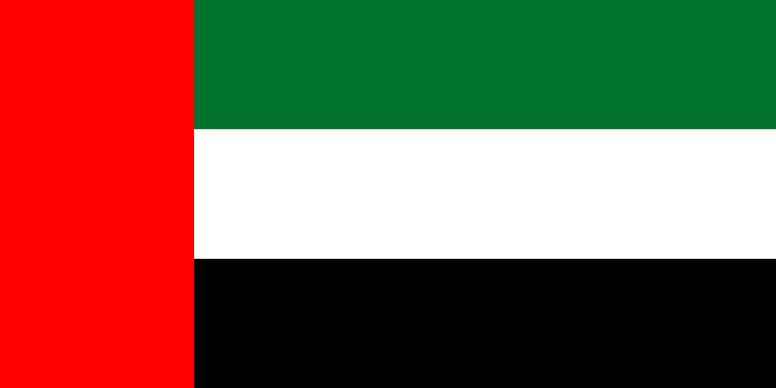 アラブ首長国連邦 flag